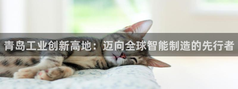 云顶国际旅行社官网