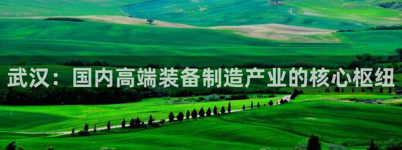 云顶最新公告