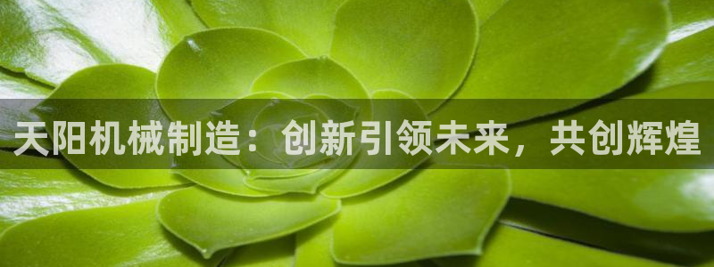 云顶集团高管