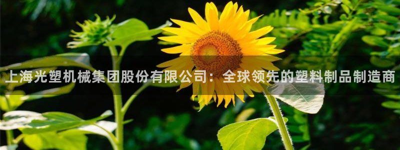 云顶国际二手房价格走势