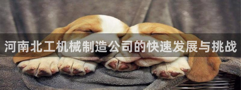 云顶国际是做什么的