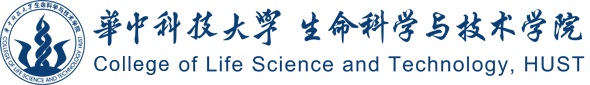 yl23411永利集团官网